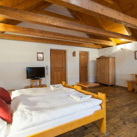 Ξενοδοχείο U Maleho Vitka 3*